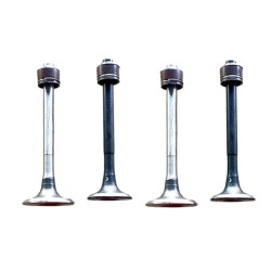 Engine valve set